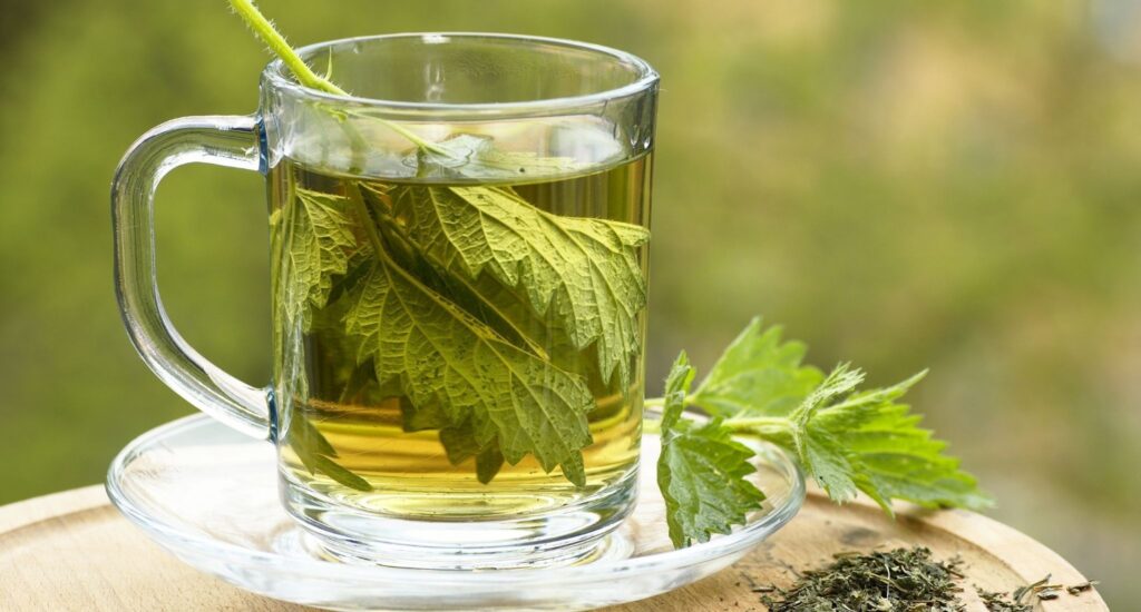 Zamioculcas začne rychle vypouštět nové listy. Geniální trik