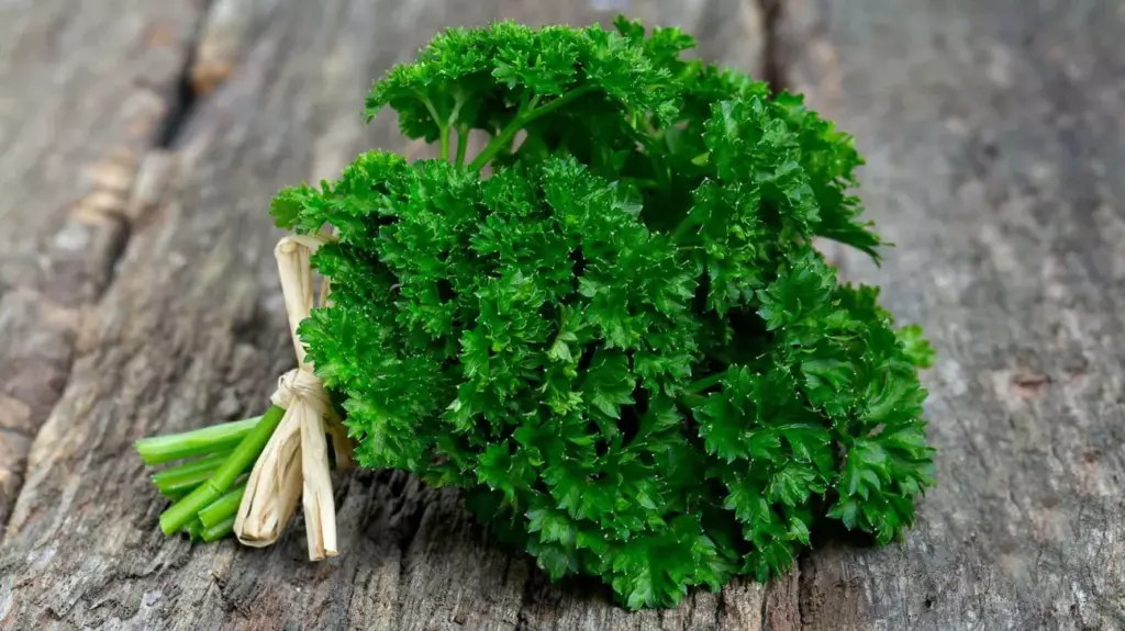 Rostlina, která má více vitaminu C než pomeranče a kterou se vyplatí přidat do domácích receptů