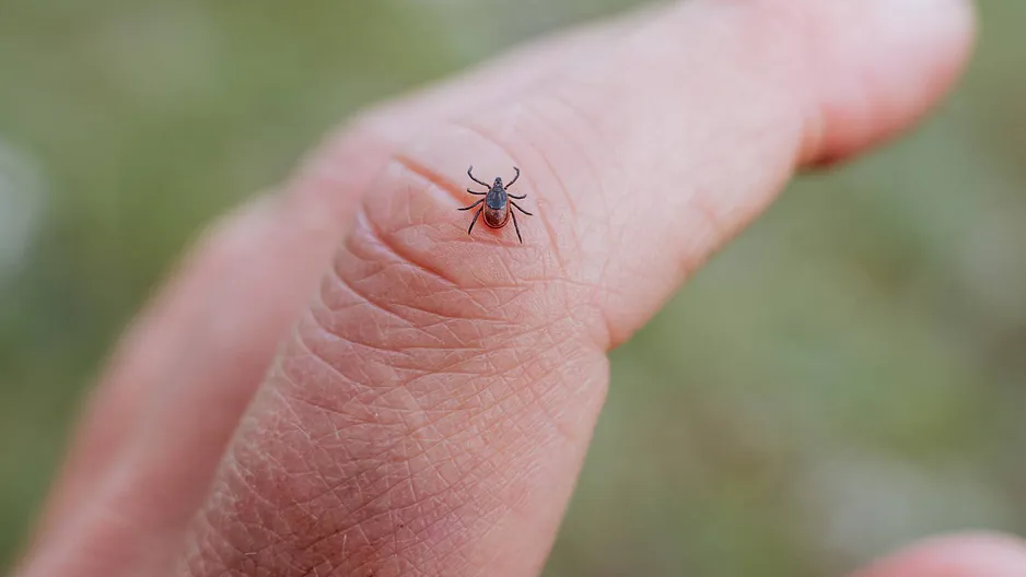 Noste ji v kapse. Klíšťata se k němu ani nepřiblíží