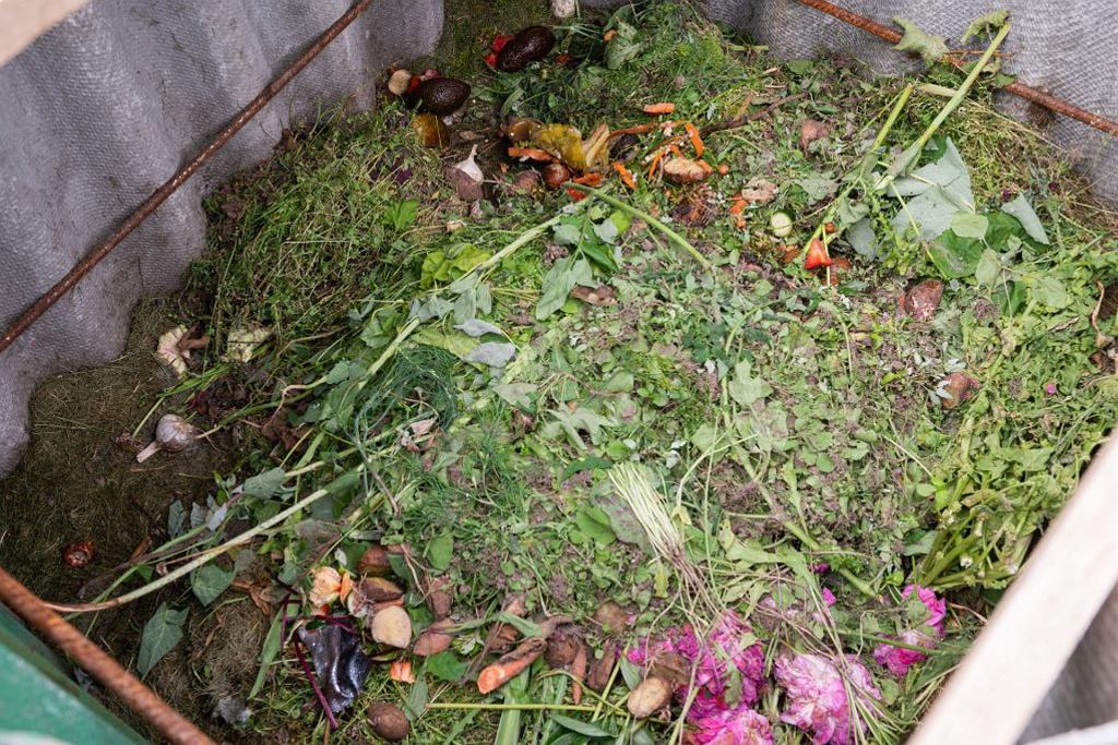 Přidejte do kompostéru. 500 gramů stačí. Získáte výživné hnojivo v co nejkratším čase.