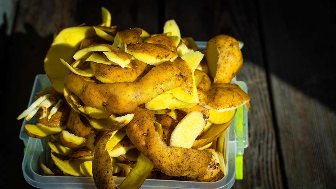 Hnojení bramborovými slupkami – trik, který urychluje růst rostlin