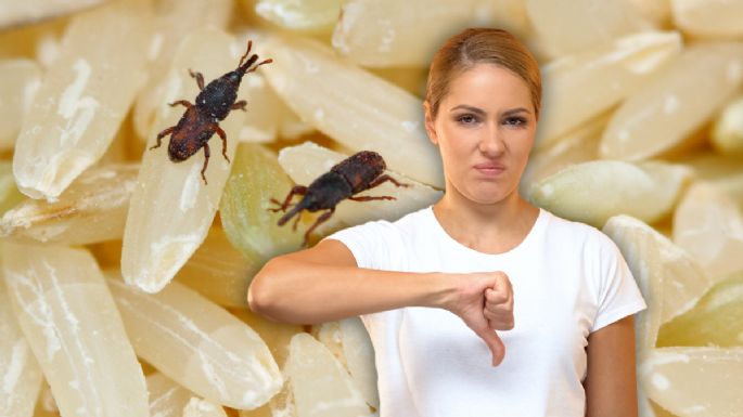 Jak se navždy zbavit nosatců ve spíži pomocí jediného kuchyňského ingredience