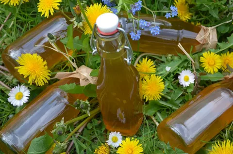 Odhaleno tajné recept na sirup z pampelišky. Celkem 4 ingredience