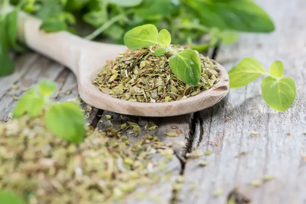 Oregano na rostlinách: proč se doporučuje trochu posypat a k čemu to slouží