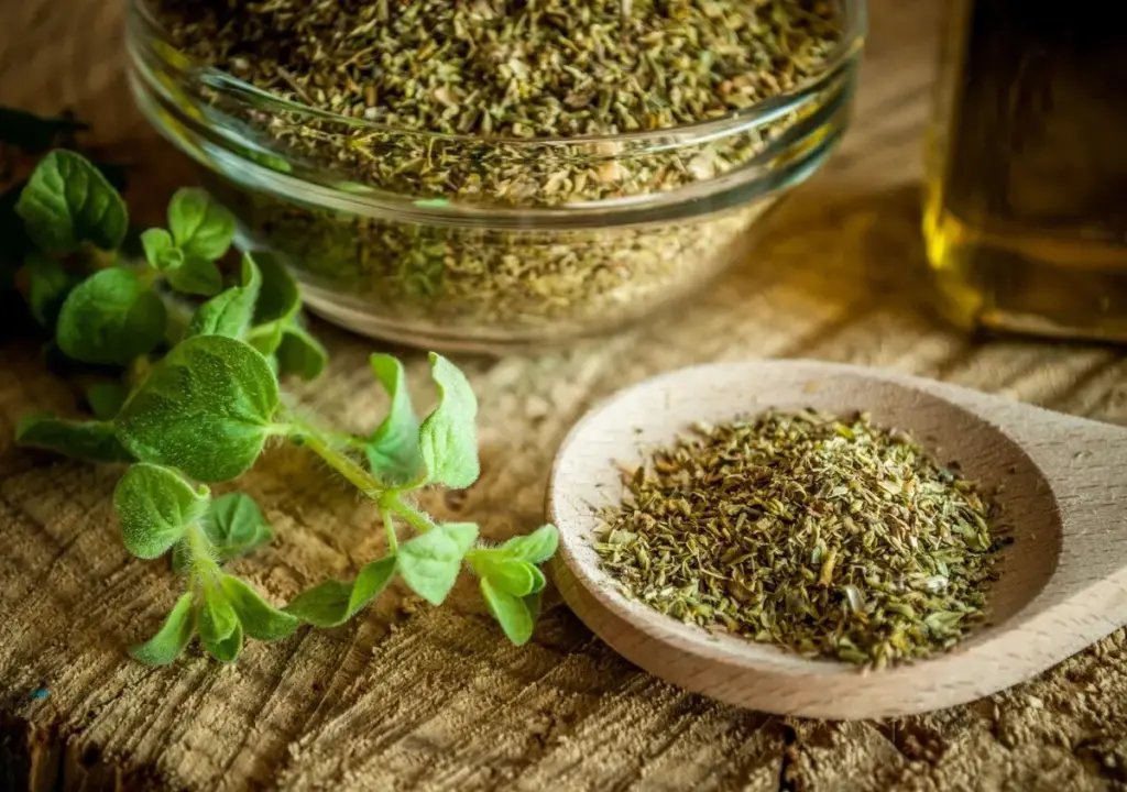 Oregano na rostlinách: proč se doporučuje trochu posypat a k čemu to slouží