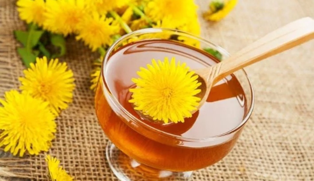 Odhaleno tajné recept na sirup z pampelišky. Celkem 4 ingredience