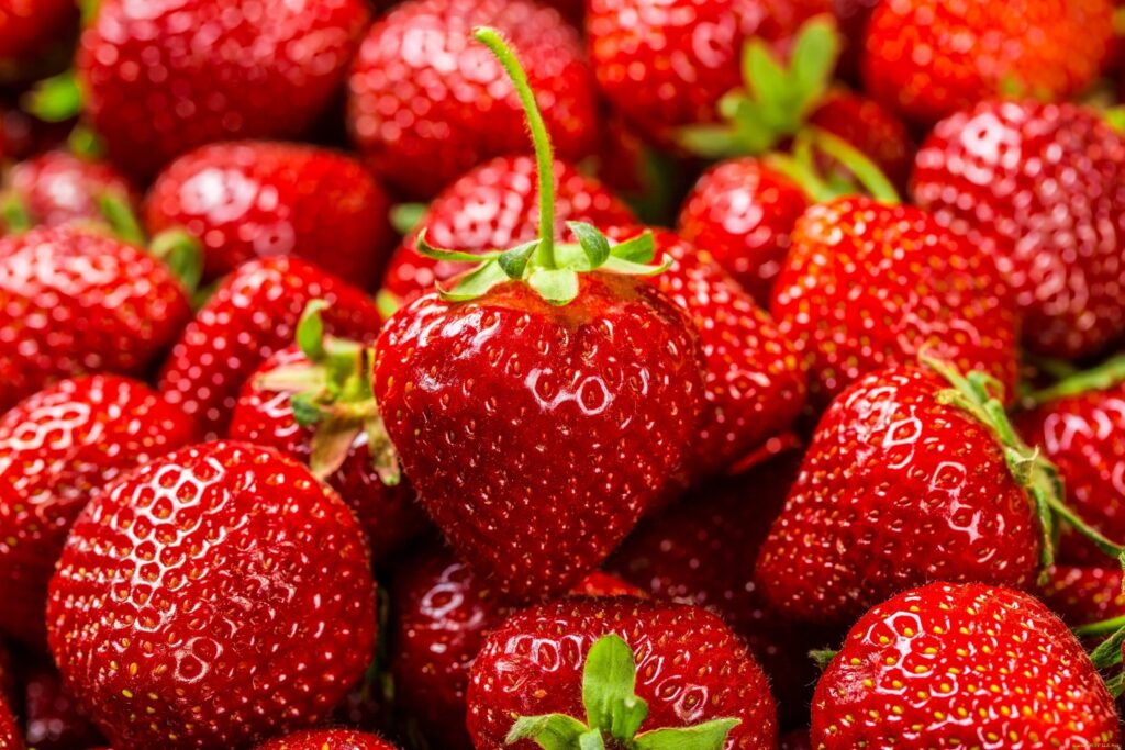 Jak kvasinky pomáhají získat bohatou úrodu velkých a sladkých jahod?