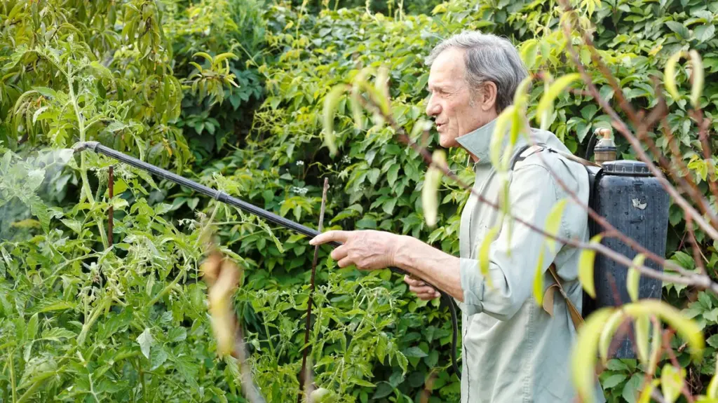 Přírodní sprej proti klíšťatům. Navždy se jich zbavíte ve své zahradě.